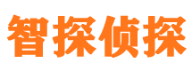 田阳智探私家侦探公司